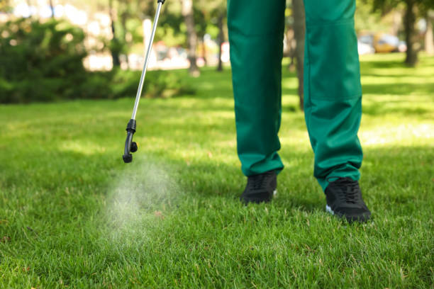 Best Affordable Pest Control Services  in Elgin, TX