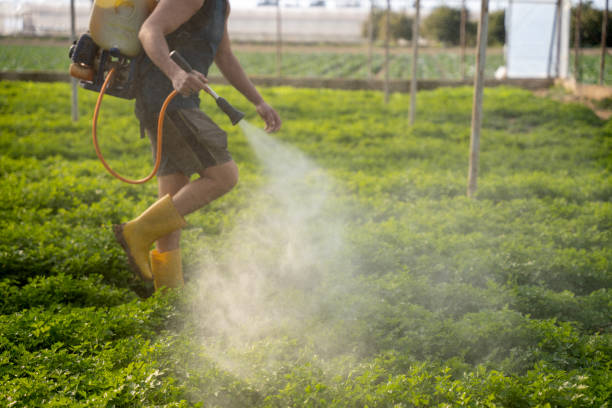 Best Commercial Pest Control Services  in Elgin, TX