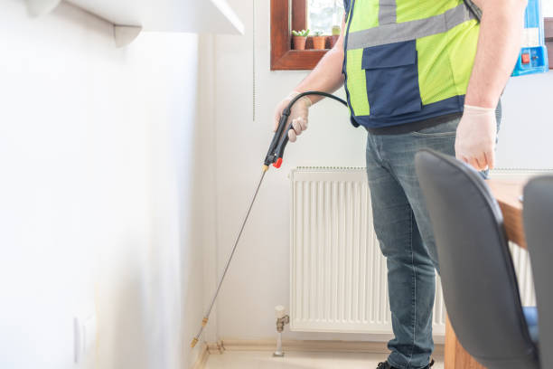 Best Mosquito Control Services  in Elgin, TX