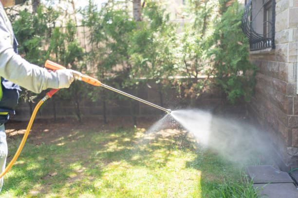 Best Best Pest Control Companies  in Elgin, TX