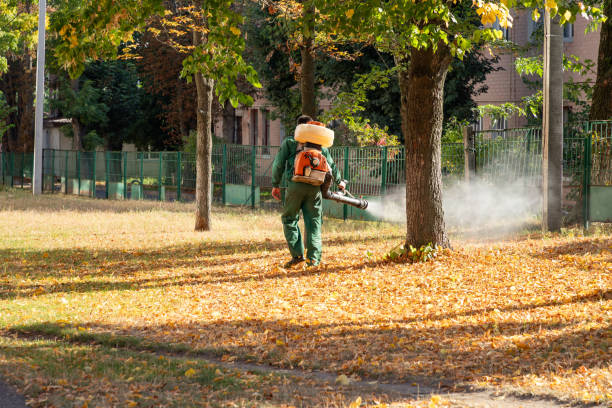 Best Local Pest Control Services  in Elgin, TX