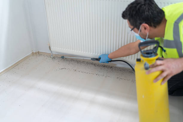 Best Pest Prevention Services  in Elgin, TX