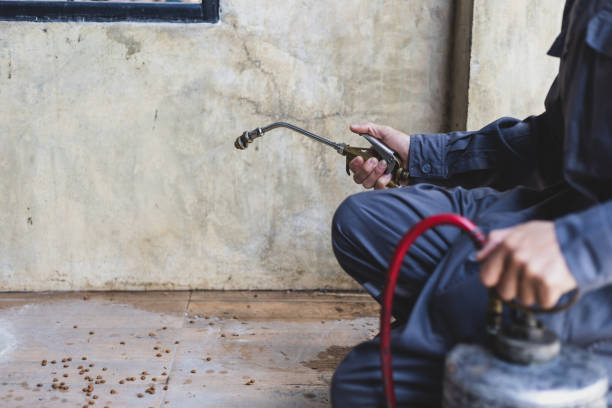 Best Flea Control Services  in Elgin, TX